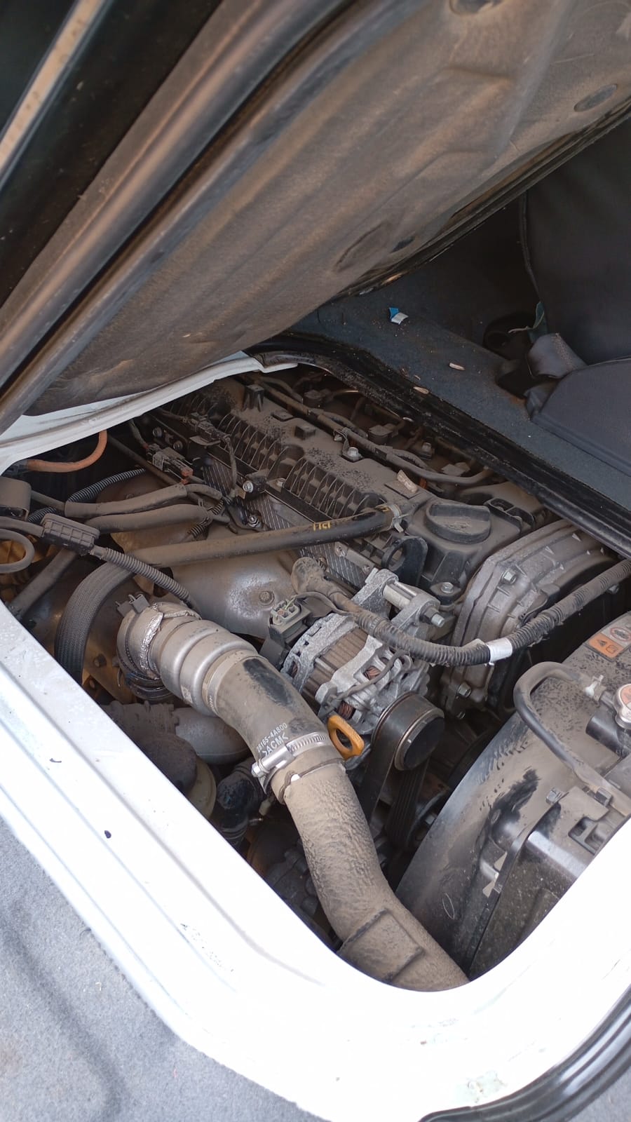  Kia FRONTIER D/CAB. 2010    EN DESARME